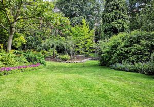 Optimiser l'expérience du jardin à Bessey-la-Cour